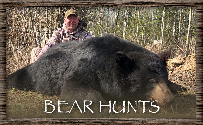 North Alberta Outfitters Inc. Bear Hunts