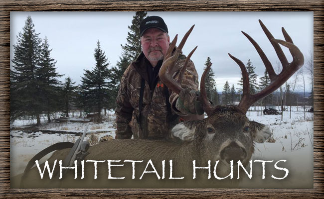 North Alberta Outfitters Inc. Whitetail Hunts
