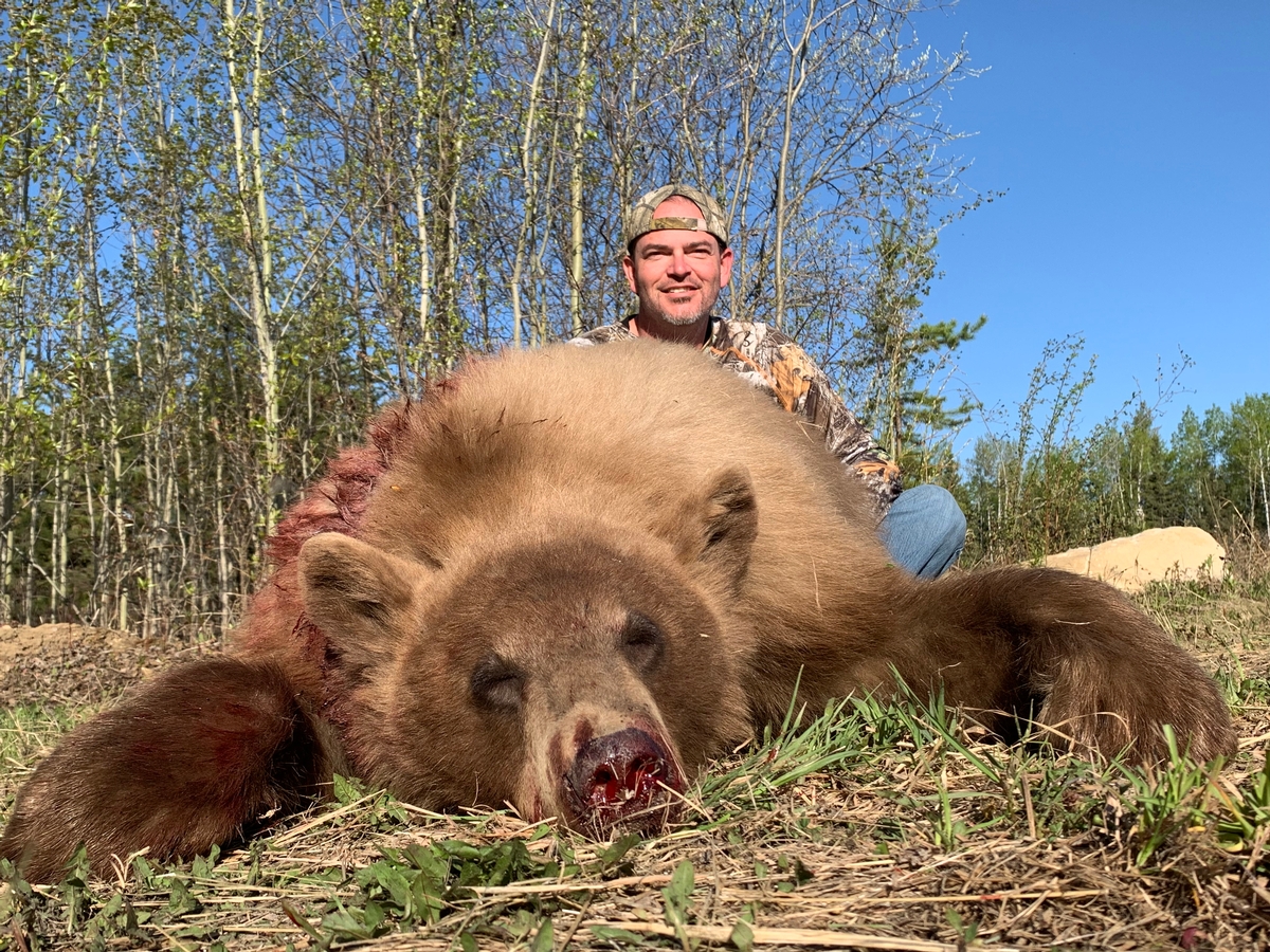 Bear Hunts in Spring