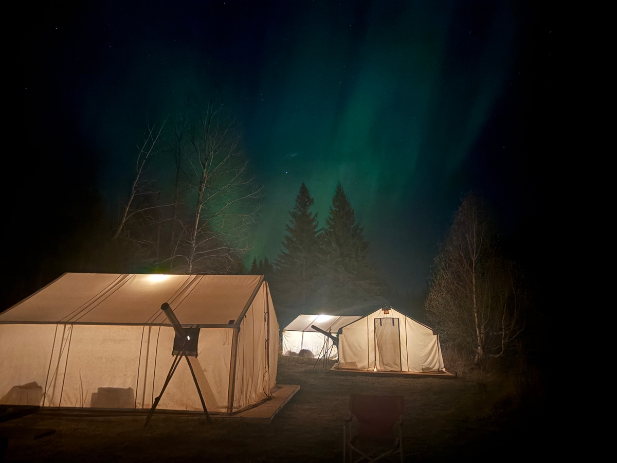 Bear Hunts Photo