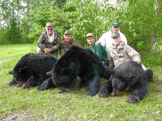 Spring Bear Hunts Alberta