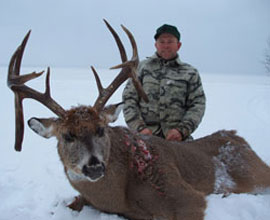 Whitetail Hunts
