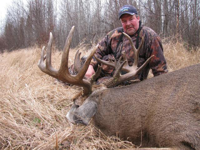 Whitetail Hunts