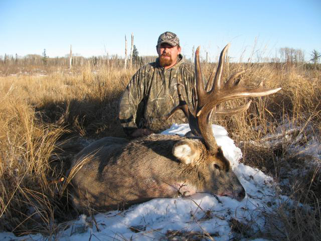 Whitetail Hunts