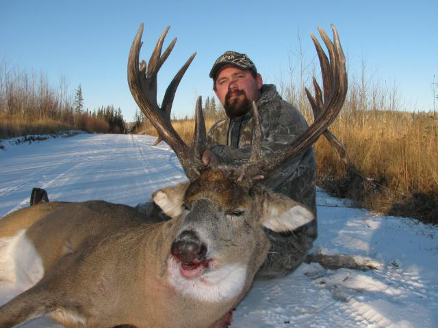 Whitetail Hunts