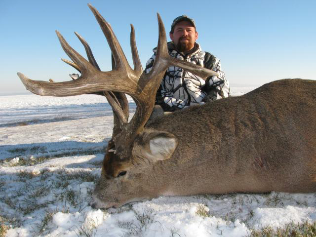 Whitetail Hunts