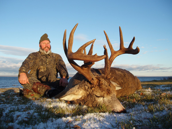 Whitetail Hunts