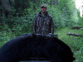 Bear Hunts