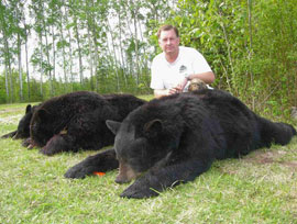 Bear Hunts