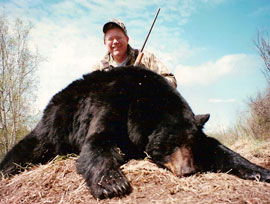 Bear Hunts