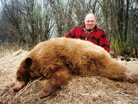 Bear Hunts