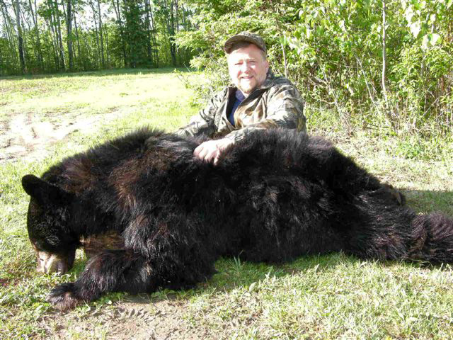 Bear Hunts