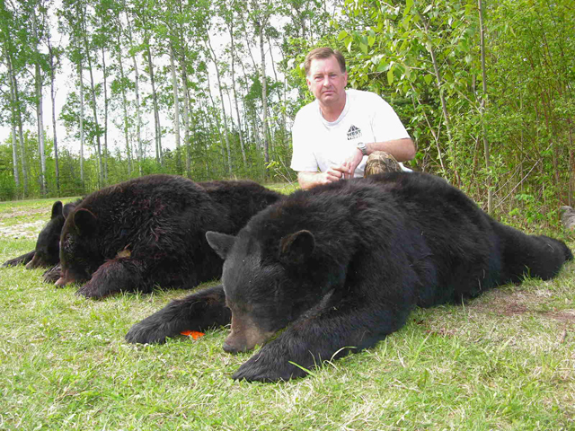 Bear Hunts