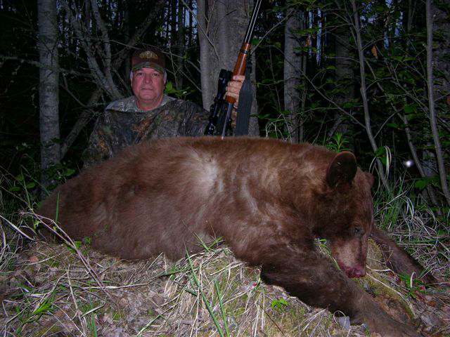 Bear Hunts