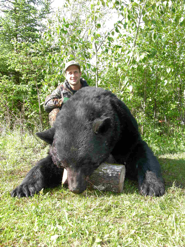 Bear Hunts
