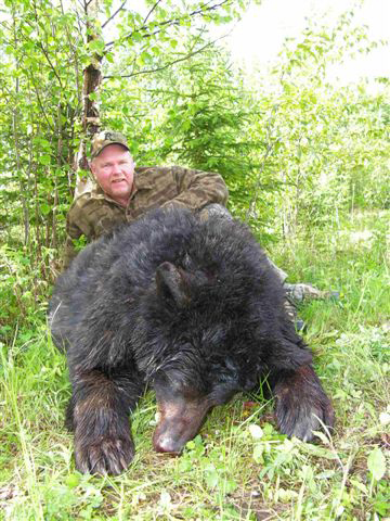 Bear Hunts