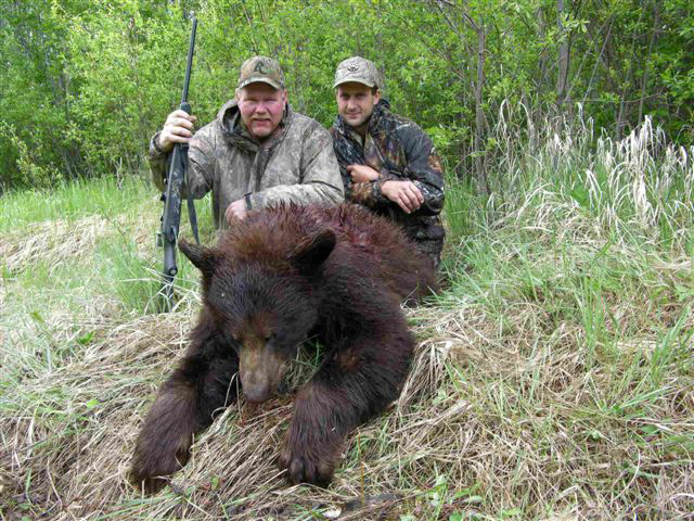 Bear Hunts