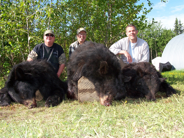 Bear Hunts