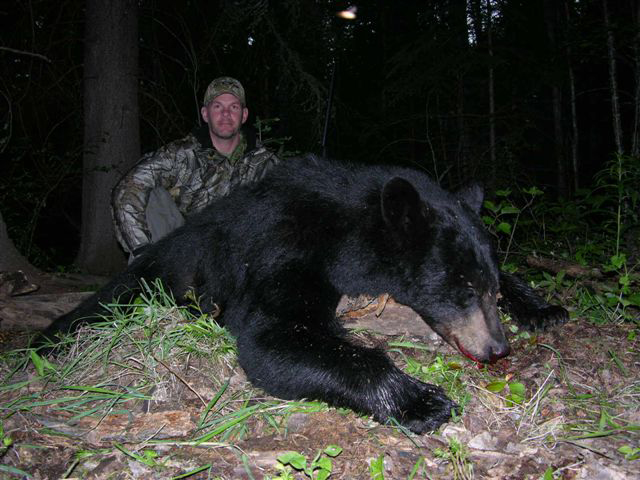 Bear Hunts