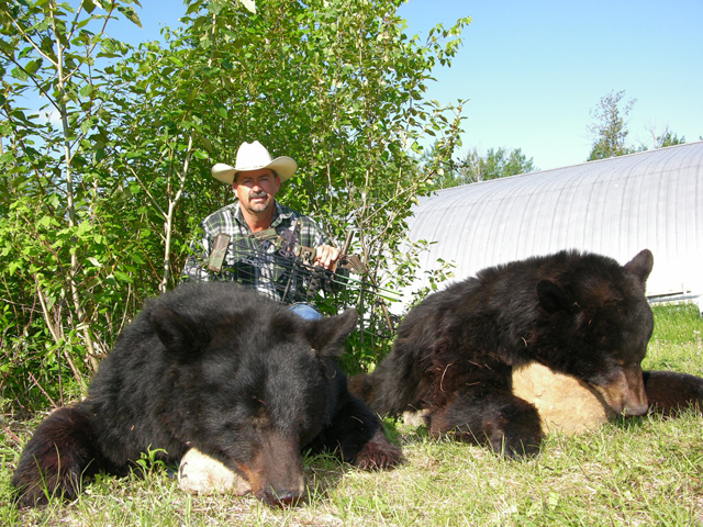 Bear Hunts