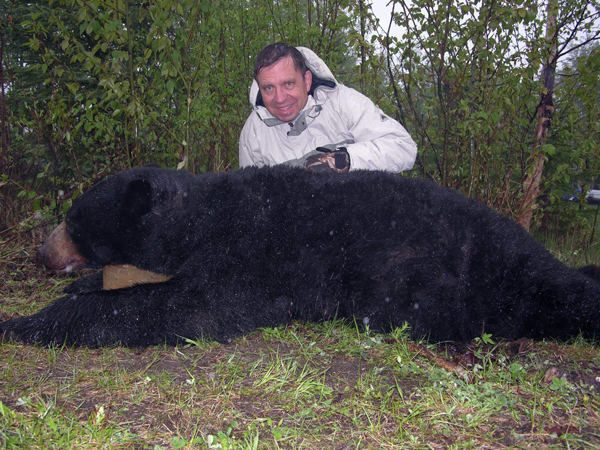 Bear Hunts
