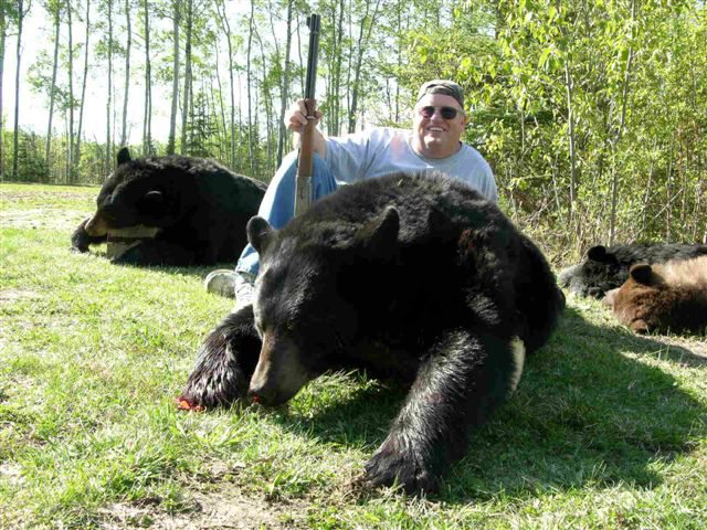 Bear Hunts