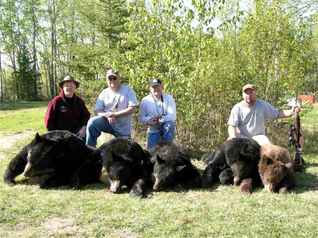 Bear Hunts