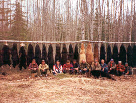 Bear Hunts