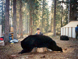 Bear Hunts
