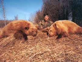 Bear Hunts