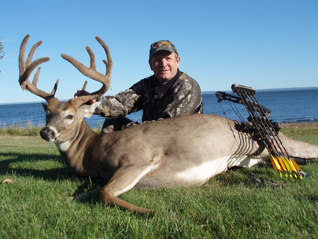Whitetail Hunts
