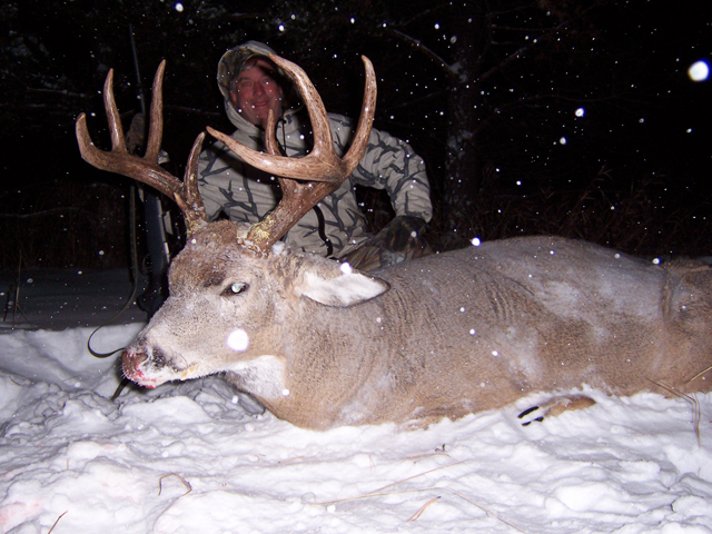 Whitetail Hunts