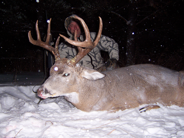 Whitetail Hunts