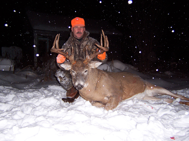Whitetail Hunts