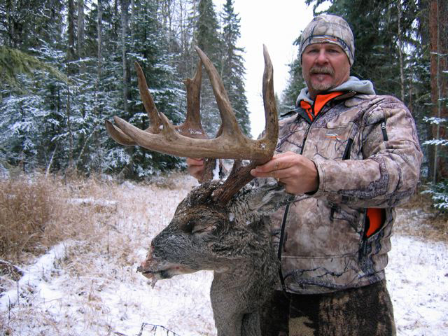 Whitetail Hunts