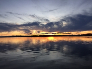 image22